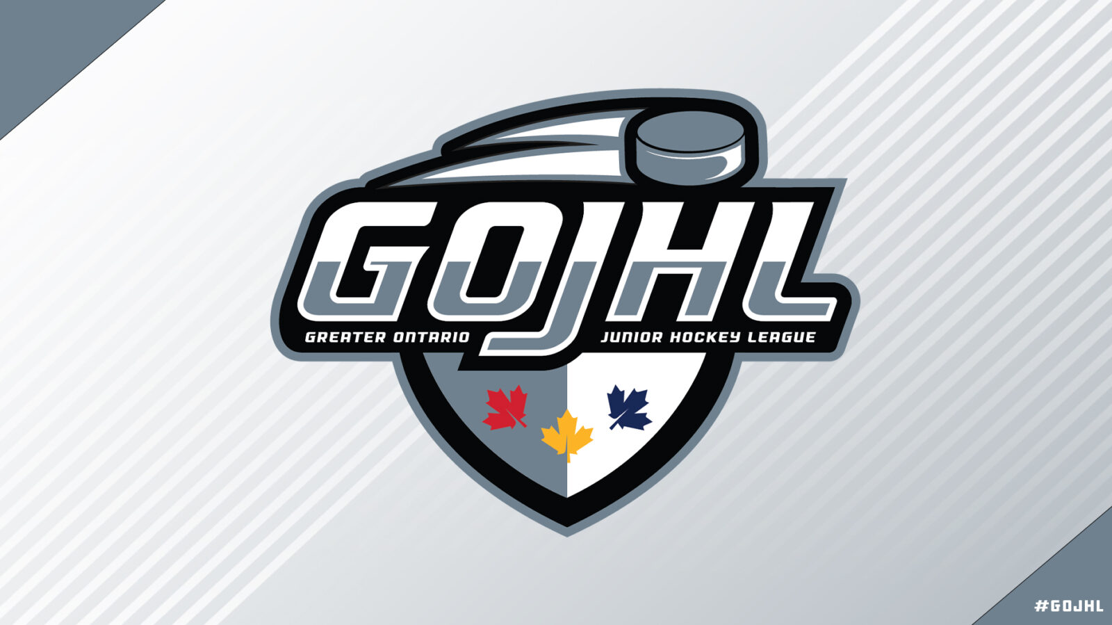 GOJHL BOARD OF DIRECTORS RELEASES STATEMENT ON NIAGARA FALLS CANUCKS ...